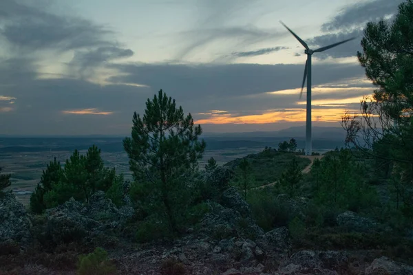 田舎の夕方には曇りの空の下で緑と丘に囲まれた風車 — ストック写真