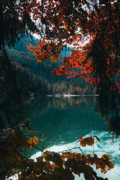 湖面被五彩缤纷的树木环抱着的一张垂直的照片 — 图库照片