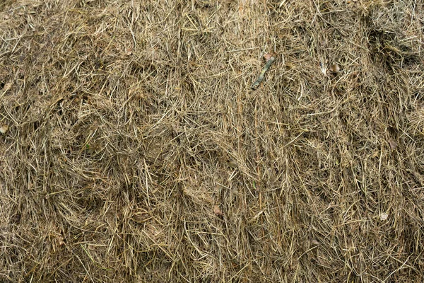 一张旧干草的头像凌乱地堆积起来了 — 图库照片