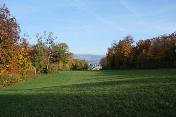 Paisaje Prado Con Campos Verdes Árboles Otoñales Durante Día Soleado — Foto de Stock