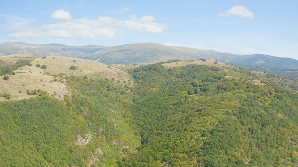 Una Toma Aérea Bosque Las Colinas — Foto de Stock