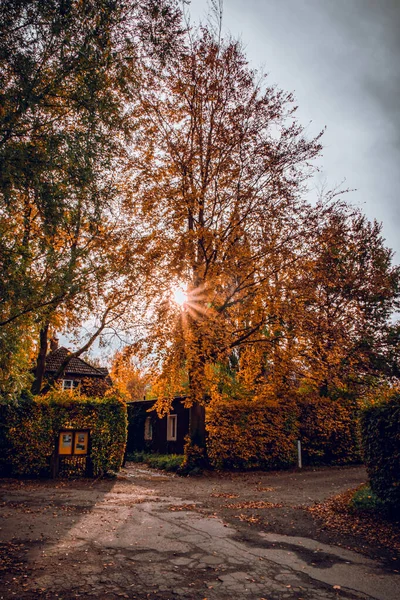 Όμορφο Φθινοπωρινό Τοπίο Πολύχρωμα Δέντρα Και Τον Ήλιο Λάμπει Μέσα — Φωτογραφία Αρχείου