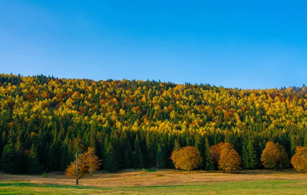 Árvores Outono Cobrindo Colinas Contra Céu Azul — Fotografia de Stock