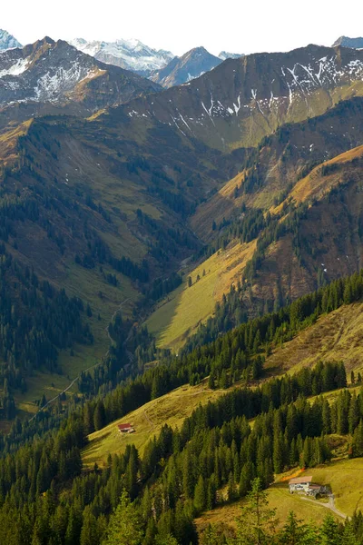 Vertikal Bild Ljusgröna Berg Från Walmendingerhorn Mittelberg Österrike — Stockfoto