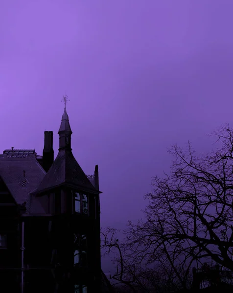 View Scary Black Gothic Building Silhouette Barren Tree Purple Background — Φωτογραφία Αρχείου