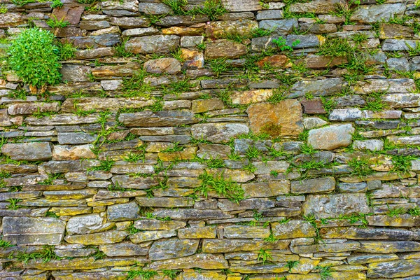 Gros Plan Vieille Texture Mur Pierre Avec Verdure — Photo