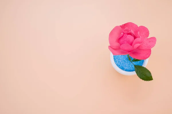 オレンジ色の表面に鍋に装飾的な人工ピンクのバラのトップビュー テキストのためのスペース — ストック写真