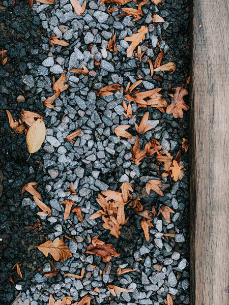 Ein Abstrakter Hintergrund Aus Kieselsteinen Und Trockenen Herbstblättern — Stockfoto