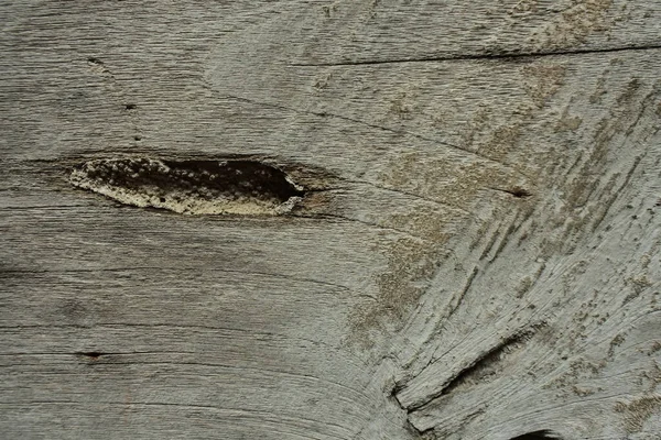 Primo Piano Vecchio Modello Legno Con Piccolo Foro Come Sfondo — Foto Stock