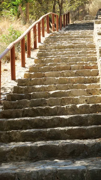 Ormandaki Bir Merdivenin Dikey Alçak Açılı Görüntüsü — Stok fotoğraf