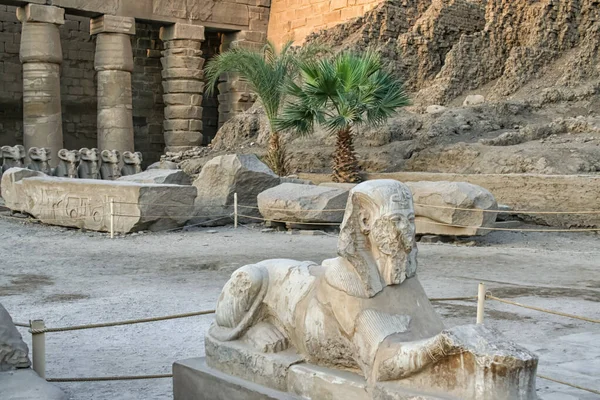 Sculptures Pierre Dans Célèbre Complexe Temple Karnak Louxor Égypte Lumière — Photo