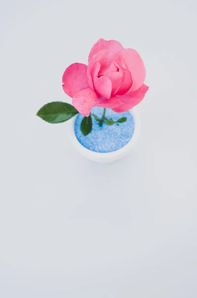 Uma Visão Superior Uma Rosa Artificial Decorativa Pote Superfície Cinza — Fotografia de Stock