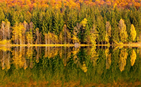 Autumn Trees Reflecting Sfanta Ana Lake Romania — Stock Photo, Image