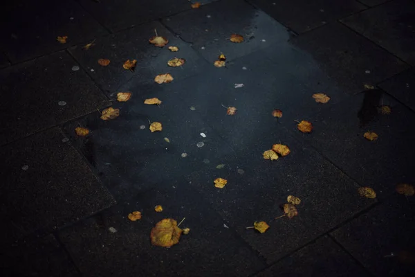 ポーランドのワルシャワで雨が降った後 水溜りのある通りに黄色の秋のトップビューが残っています — ストック写真