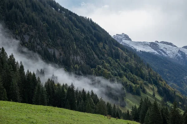 Величний Вид Густолісся Гірський Схил Низьких Лежачих Хмарах — стокове фото