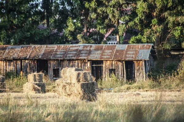 Kleine Heuballen Stapeln Sich Vor Einem Alten Gebäude — Stockfoto