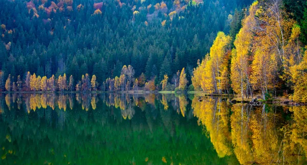 Riflesso Degli Alberi Autunnali Sull Acqua — Foto Stock