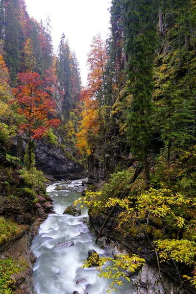 Вид Бурлящую Реку Осеннем Лесу Брайтачкламме — стоковое фото
