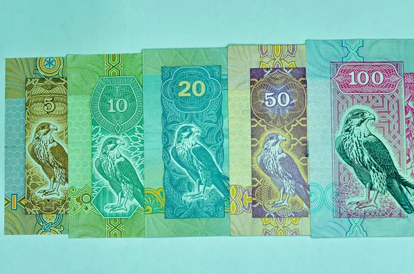 一张阿拉伯联合酋长国货币的头像照片 在白色背景下孤立的迪拉姆 — 图库照片