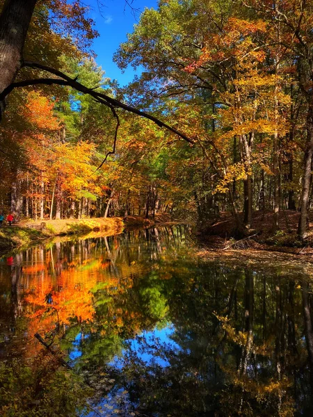 Vertikální Záběr Odraz Podzimních Stromů Řece — Stock fotografie