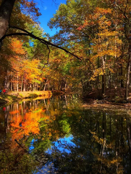 Colpo Verticale Riflesso Alberi Autunno Sul Fiume — Foto Stock