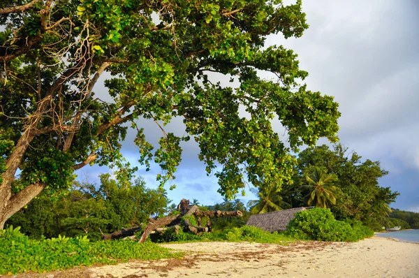 Pláž Pokrytá Zelení Obklopená Mořem Pod Slunečním Světlem Zataženou Oblohou — Stock fotografie