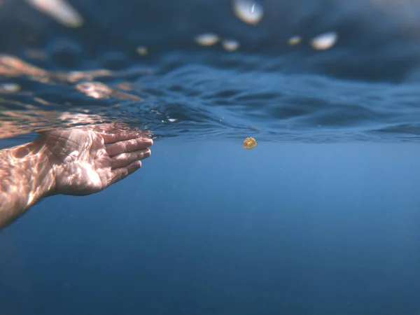 Zbliżenie Ręki Nurka Próbującego Złapać Małą Meduzę Pod Wodą — Zdjęcie stockowe