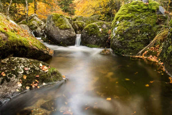 Uma Lagoa Com Uma Pequena Cachoeira Fluindo Para Ela Queda — Fotografia de Stock