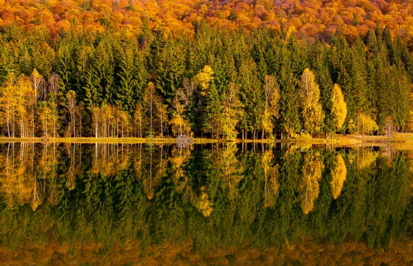 Die Herbstbäume Reflektieren Den Sfanta Ana See Rumänien — Stockfoto