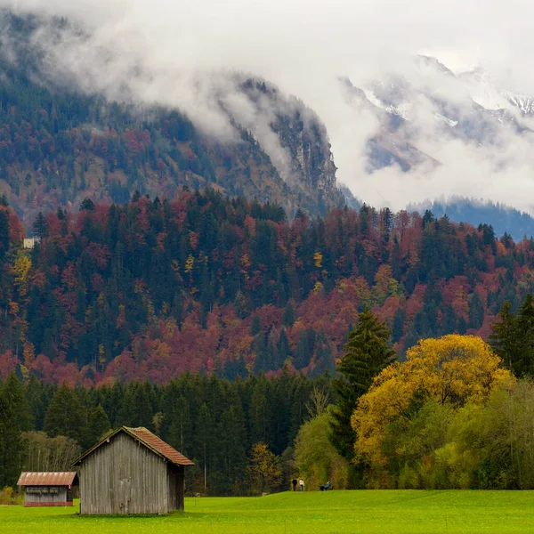 Egy Gyönyörű Kép Egy Faházról Őszi Fák Közelében Oberstdorf Hegyeiben — Stock Fotó