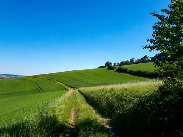 Bellissimo Scatto Paesaggio Rurale — Foto Stock