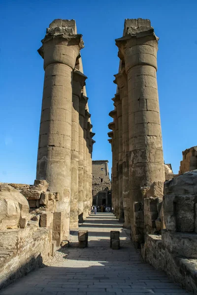Corte Amonhotep Iii Templo Luxor Luxor Egipto Con Columnas Papiro — Foto de Stock