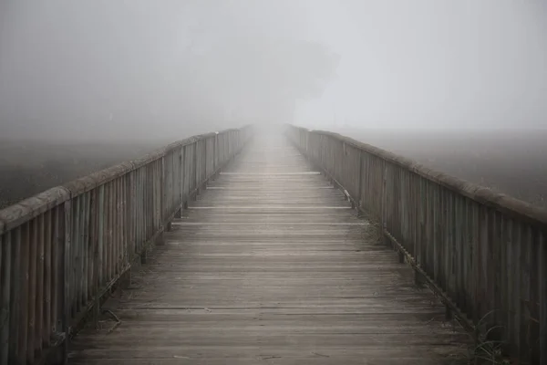 Közelkép Egy Hídról Egy Ködös Napon — Stock Fotó