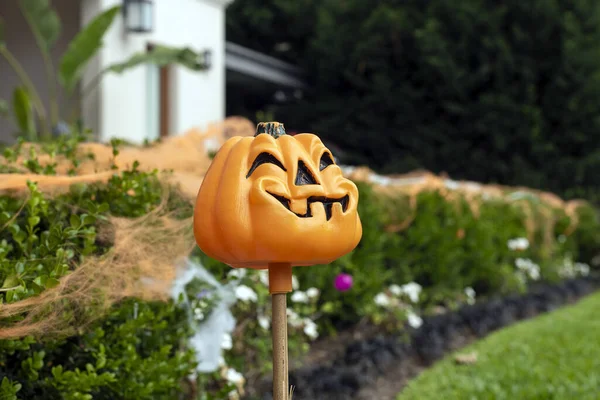 Gros Plan Une Citrouille Halloween Dans Parc — Photo