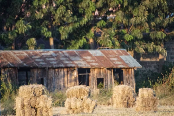 Eski Bir Binanın Önündeki Saman Balyaları — Stok fotoğraf