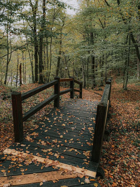 秋の公園の古い木製の橋の垂直ショット — ストック写真