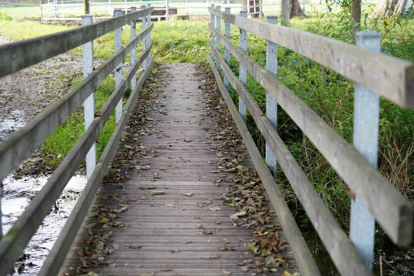 Крупный План Моста Через Небольшую Реку Сельской Местности Солнечный Осенний — стоковое фото