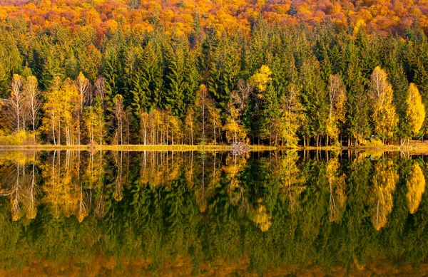 在罗马尼亚的圣安湖上 一帧秋天的风景 水中倒映着茂盛的五彩缤纷的树木 — 图库照片