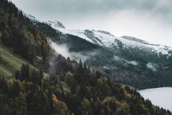Yoğun Ormanlık Bir Dağ Yamacının Alçak Bulutlardaki Görkemli Manzarası — Stok fotoğraf