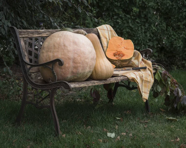 Banco Madera Con Calabazas — Foto de Stock