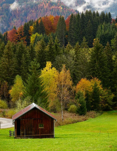 Een Verticale Opname Van Een Houten Hut Bij Kleurrijke Herfstbomen — Stockfoto