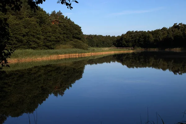 Nahaufnahme Eines Sees Wald — Stockfoto