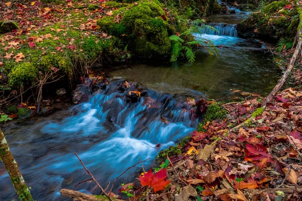 Een Adembenemend Uitzicht Waterval Het Bos Overdag Herfst — Stockfoto