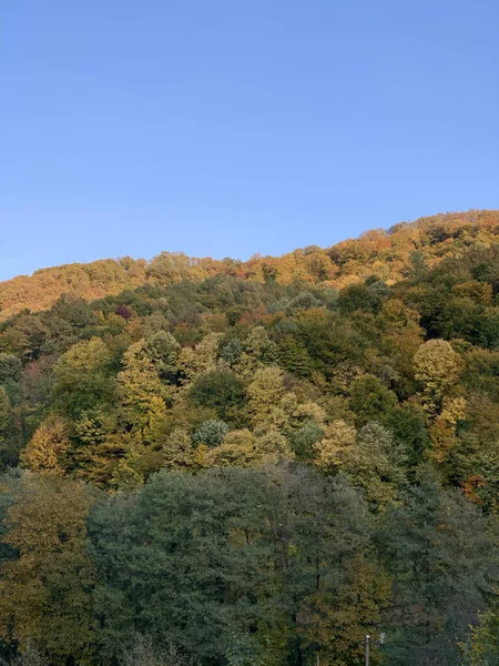 Een Verticaal Schot Van Heuvels Bedekt Met Bomen Met Kleurrijke — Stockfoto