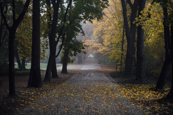 Caminho Através Parque Durante Outono — Fotografia de Stock