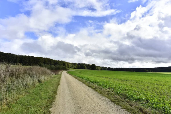 Een Prachtig Shot Van Een Landweg — Stockfoto