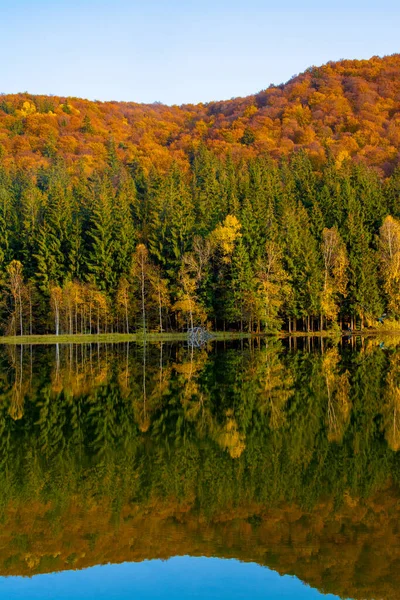 Een Shot Van Herfst Landschap Van Lake Saint Ann Roemenië — Stockfoto