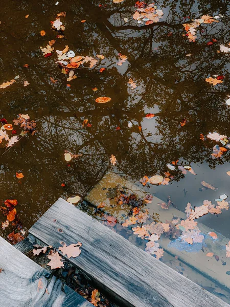 Tiro Vertical Uma Lagoa Reflexiva Com Folhas Outono Flutuantes Uma — Fotografia de Stock