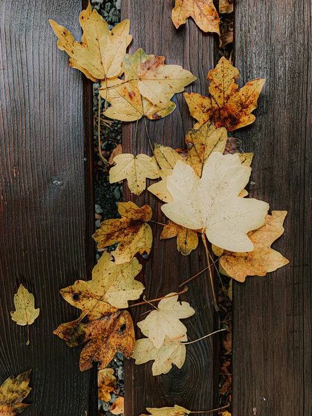 Een Verticale Opname Van Natte Herfstbladeren Een Houten Ondergrond — Stockfoto
