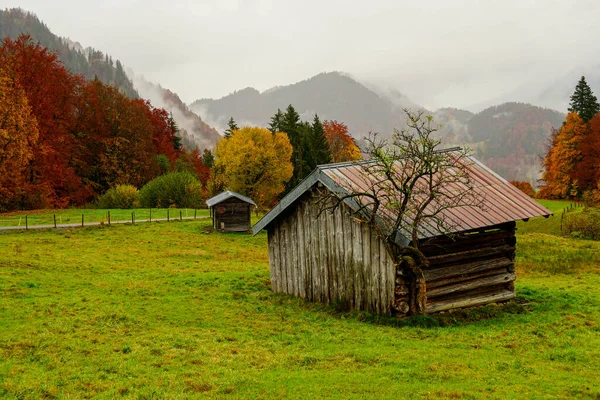 背景には秋の木々や草が茂る農地の上の小さな納屋の風景 — ストック写真
